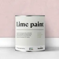 1 litre