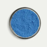 25000 gram