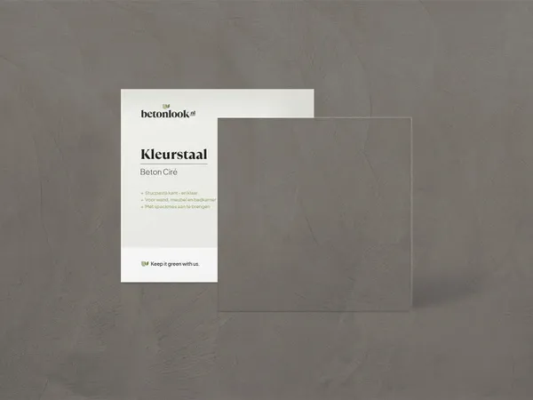 Beton Cire 02 Zilvergrijs kleurstaal